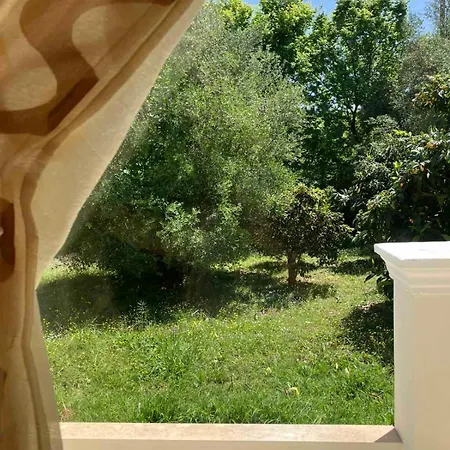Elena's And Evie's Nyaraló
